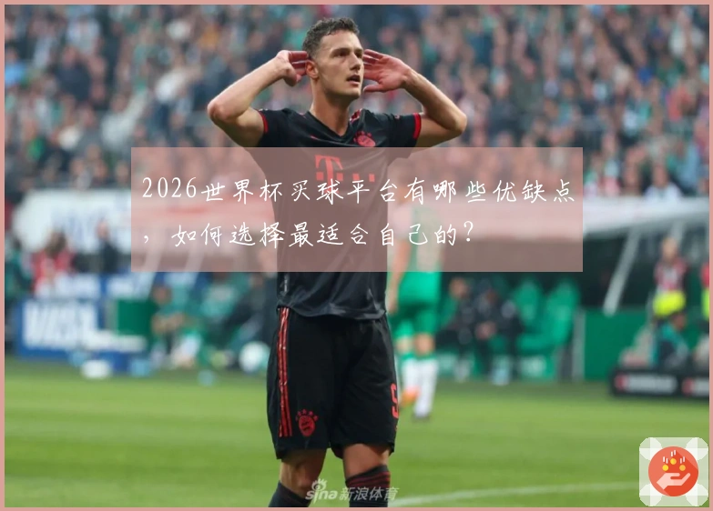 2026世界杯买球平台有哪些优缺点，如何选择最适合自己的？