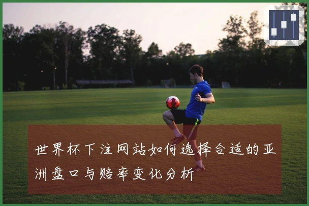 世界杯下注网站如何选择合适的亚洲盘口与赔率变化分析