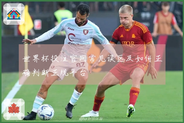 世界杯投注官网常见误区及如何正确判断正规平台