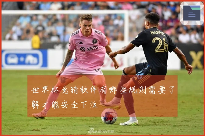 世界杯竞猜软件有哪些规则需要了解才能安全下注