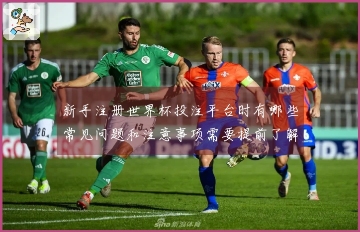 新手注册世界杯投注平台时有哪些常见问题和注意事项需要提前了解