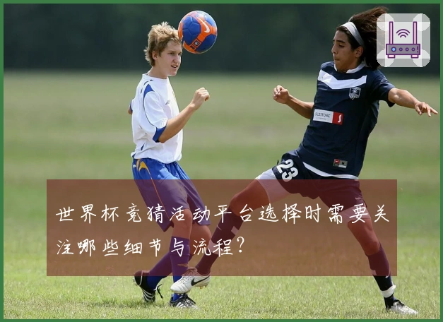 世界杯竞猜活动平台选择时需要关注哪些细节与流程？